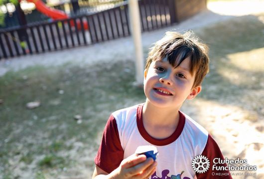 Descrição da Imagem 1