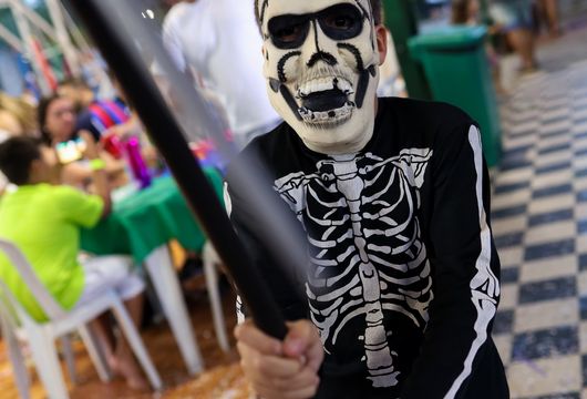 Descrição da Imagem 1