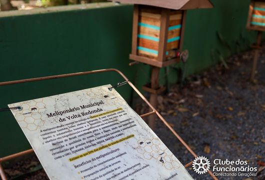 Descrição da Imagem 1