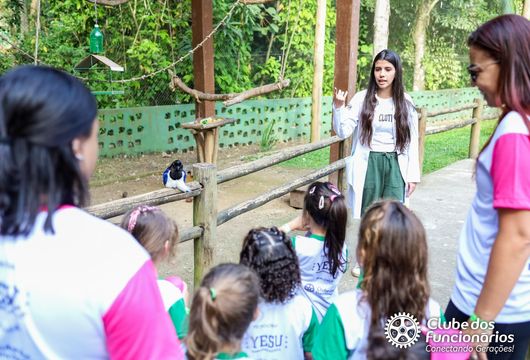 Descrição da Imagem 1