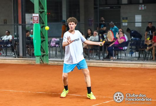 Descrição da Imagem 1