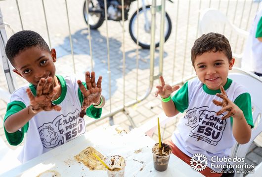 Descrição da Imagem 1