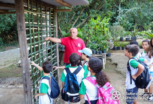 Descrição da Imagem 1