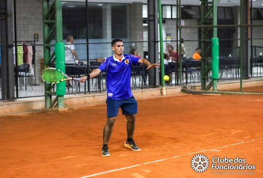 Descrição da Imagem 1