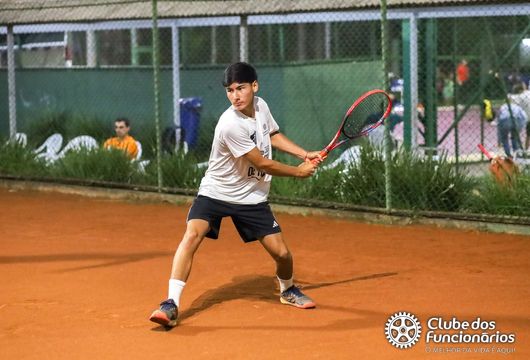 Descrição da Imagem 1