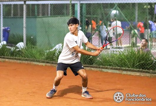 Descrição da Imagem 1