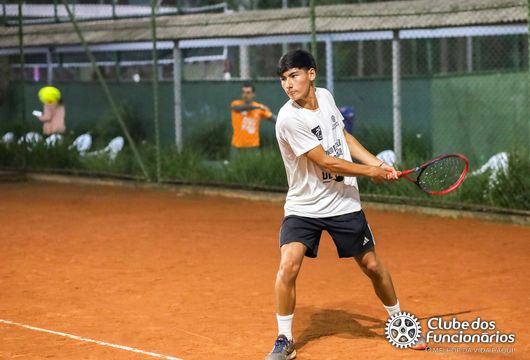 Descrição da Imagem 1