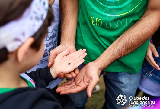 Descrição da Imagem 1