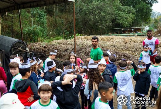 Descrição da Imagem 1