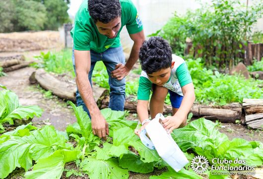 Descrição da Imagem 1