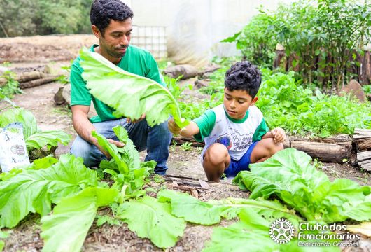 Descrição da Imagem 1