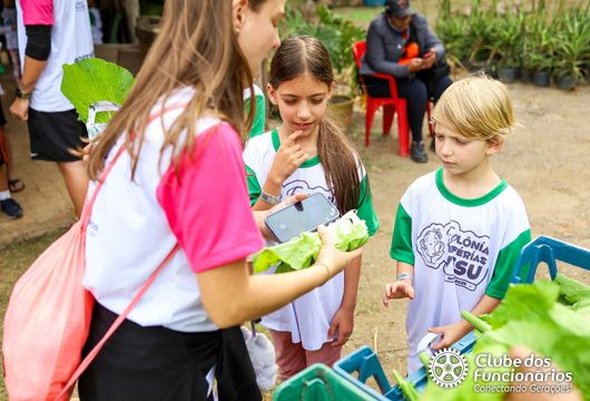 Descrição da Imagem 1