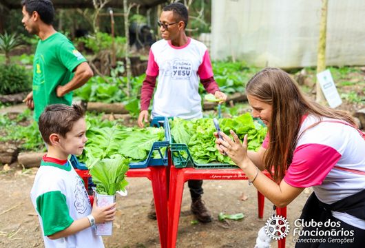 Descrição da Imagem 1