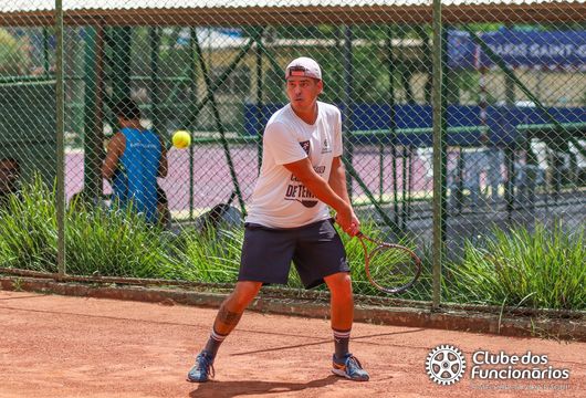 Descrição da Imagem 1