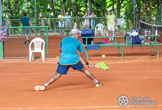 Descrição da Imagem 1