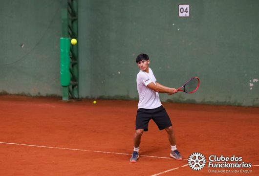 Descrição da Imagem 1