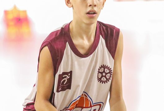 Descrição da Imagem 1