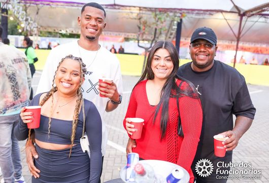 Descrição da Imagem 1