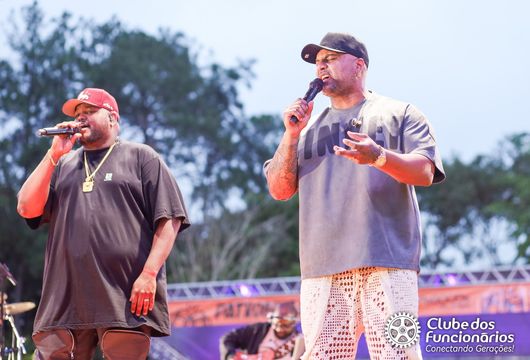 Descrição da Imagem 1