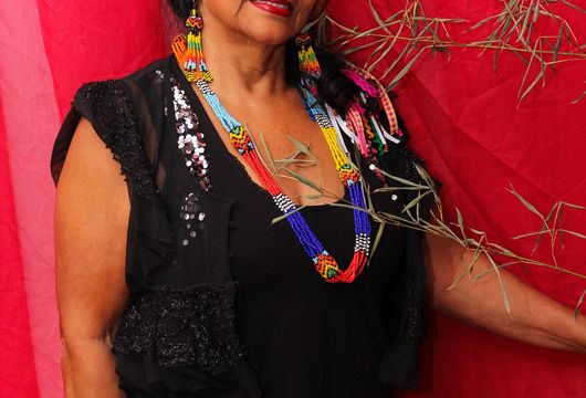 Descrição da Imagem 1