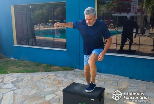 Descrição da Imagem 1