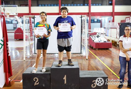 Descrição da Imagem 1