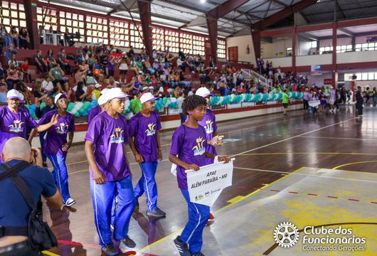 Descrição da Imagem 1