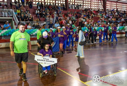 Descrição da Imagem 1