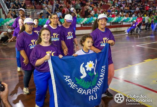 Descrição da Imagem 1