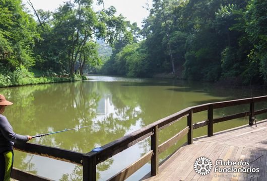 Descrição da Imagem 1