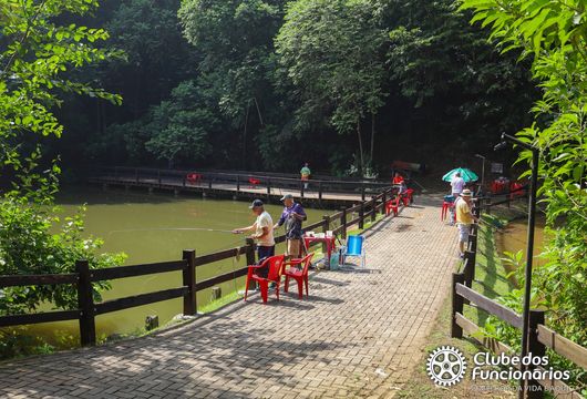 Descrição da Imagem 1