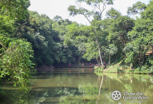 Descrição da Imagem 1