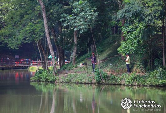 Descrição da Imagem 1