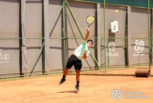 Descrição da Imagem 1