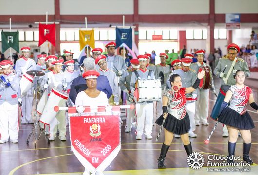 Descrição da Imagem 1