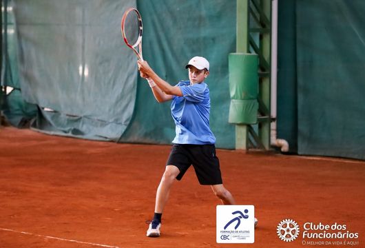 Descrição da Imagem 1