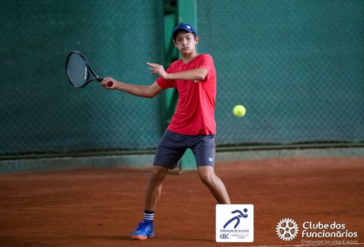 Descrição da Imagem 1