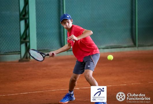 Descrição da Imagem 1