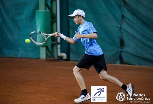 Descrição da Imagem 1