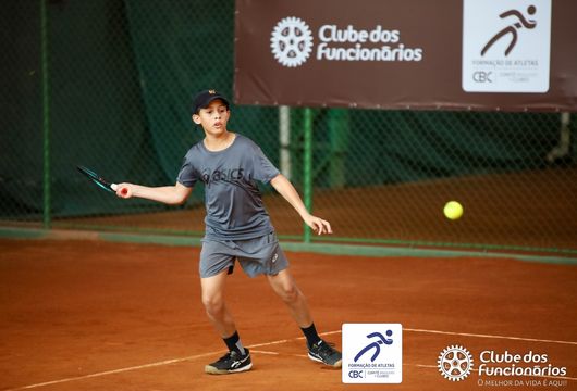 Descrição da Imagem 1