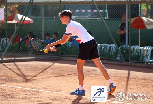 Descrição da Imagem 1