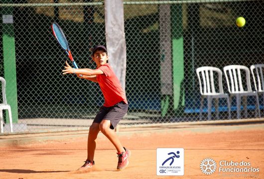 Descrição da Imagem 1