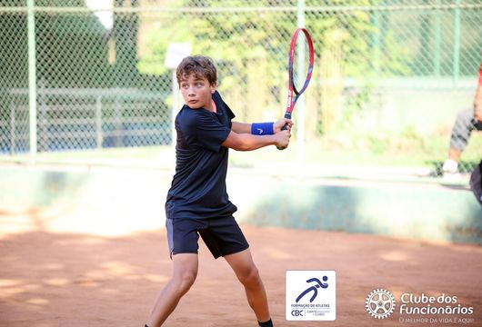 Descrição da Imagem 1