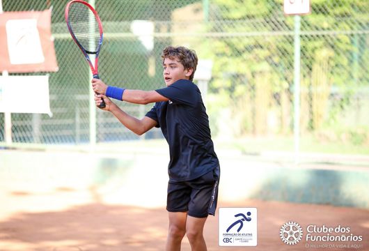 Descrição da Imagem 1