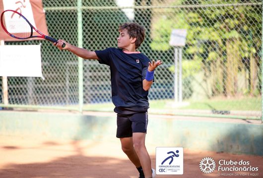 Descrição da Imagem 1