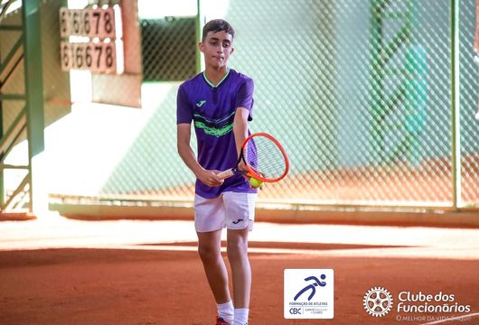 Descrição da Imagem 1