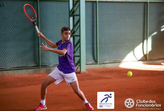 Descrição da Imagem 1