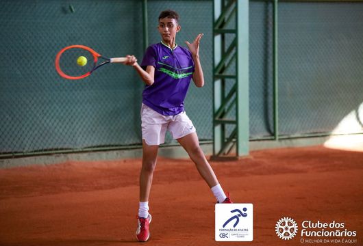 Descrição da Imagem 1