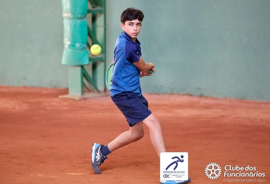 Descrição da Imagem 1