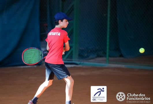 Descrição da Imagem 1